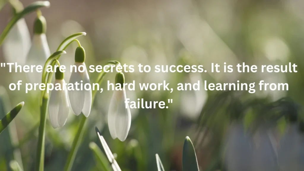 70 Softball Quotes We Love: Inspirational Words from Legendary Players and Coaches:
