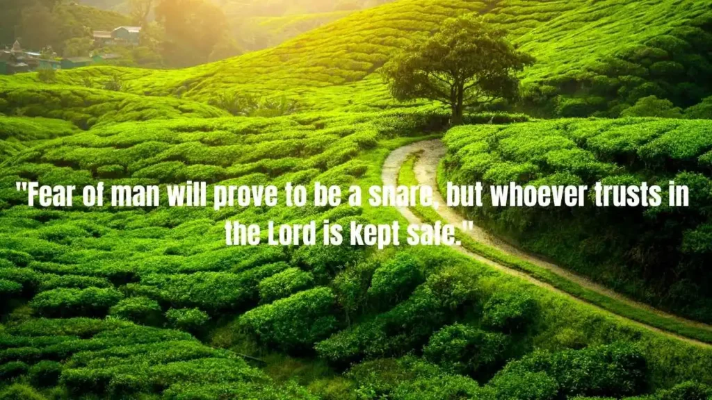Bible Verses About Man: What Scripture Teaches About Humanity