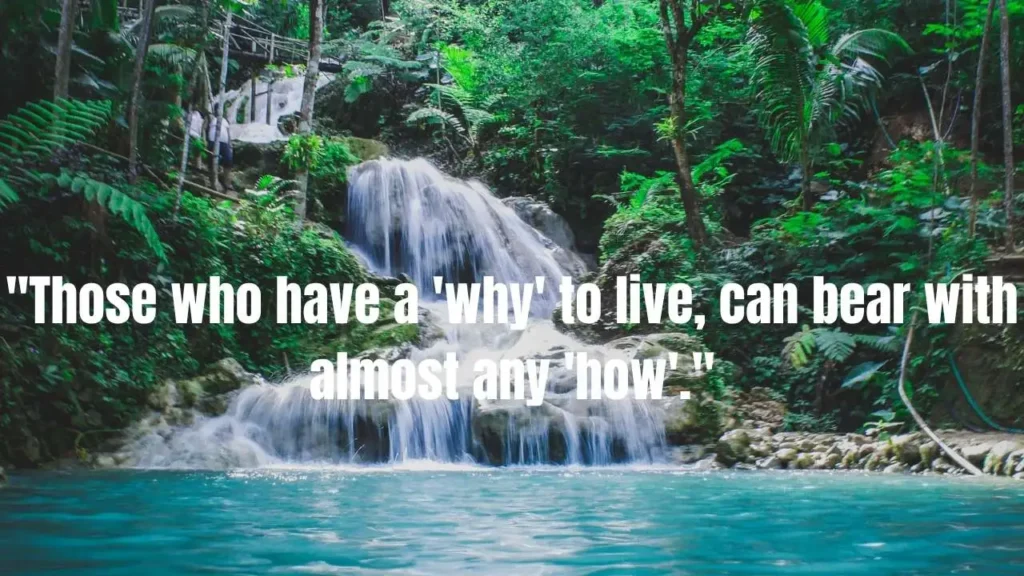 Powerful Suicide Prevention Quotes to Inspire Hope and Healing