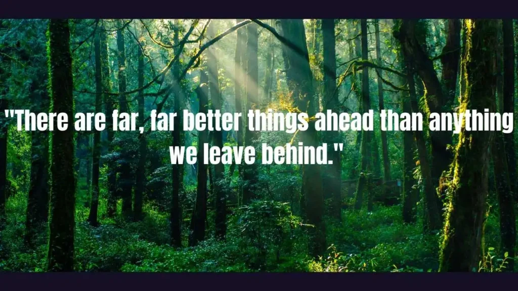 Powerful Suicide Prevention Quotes to Inspire Hope and Healing