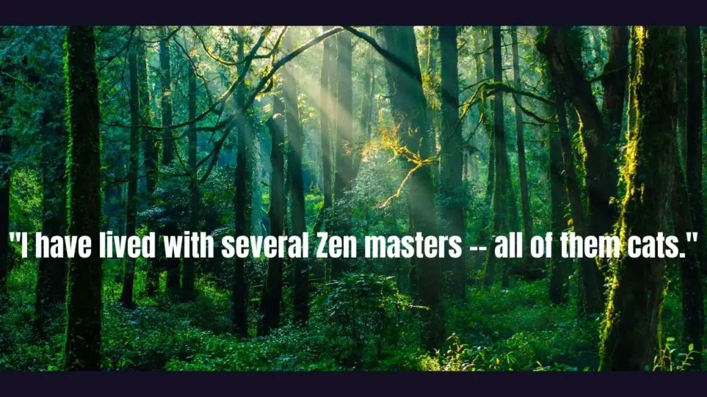 Eckhart Tolle Quotes: 30 Life-Changing Teachings That Will Transform Your Consciousness