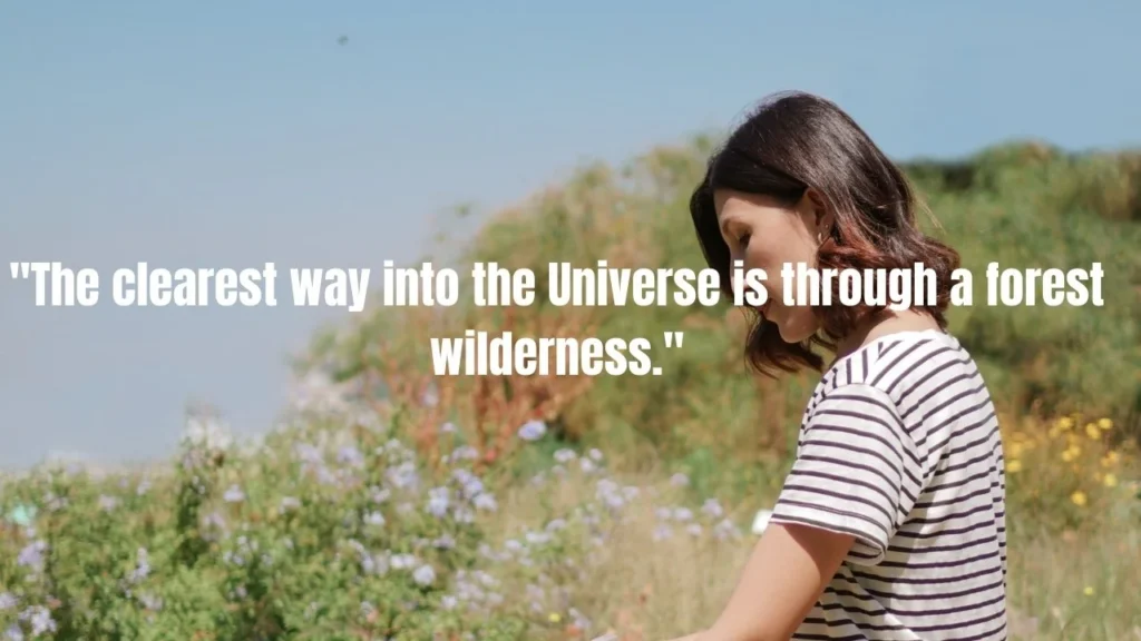 70 Hiking Quotes to Inspire Your Next Adventure