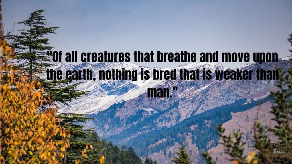 The Odyssey Quotes: Ancient Wisdom That Still Guides Us Today