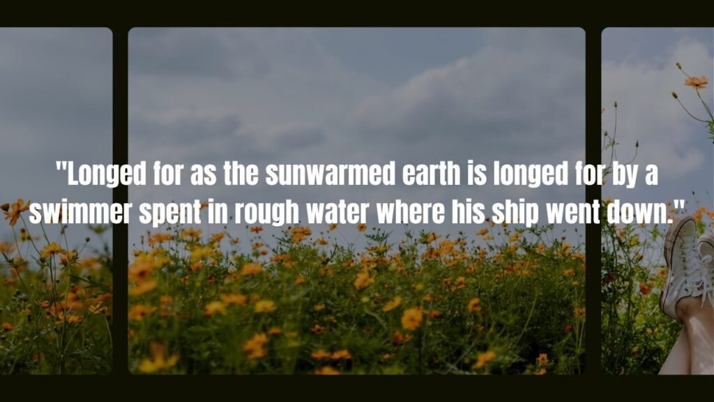 The Odyssey Quotes: Ancient Wisdom That Still Guides Us Today