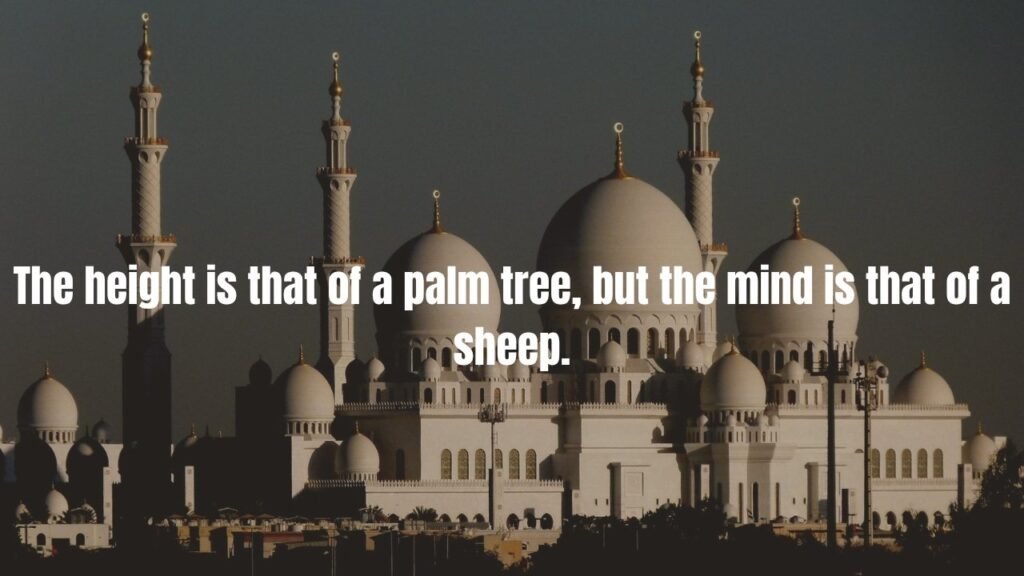 Our 35 Favorite Arabic Proverbs (with English Translation)