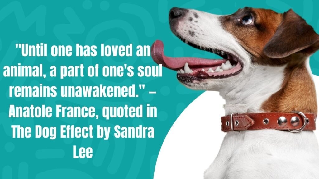 Pet Loss Quotes: 50+ Heartfelt Words to Honor Your Beloved Companion