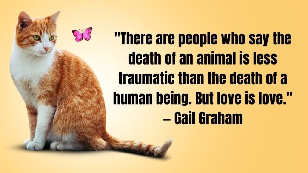 Pet Loss Quotes: 50+ Heartfelt Words to Honor Your Beloved Companion