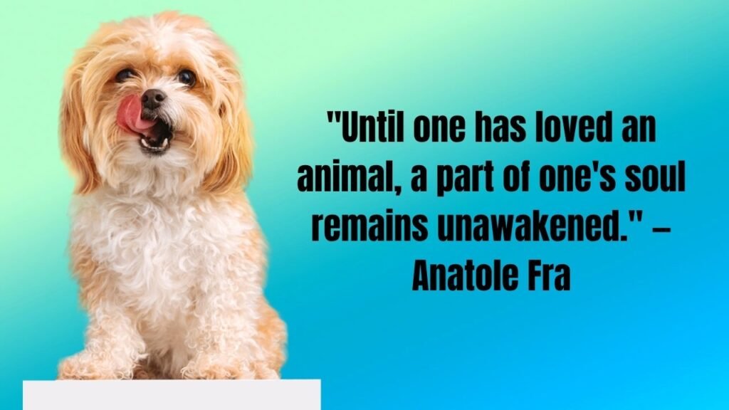 Pet Loss Quotes: 50+ Heartfelt Words to Honor Your Beloved Companion
