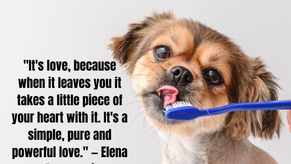Pet Loss Quotes: 50+ Heartfelt Words to Honor Your Beloved Companion