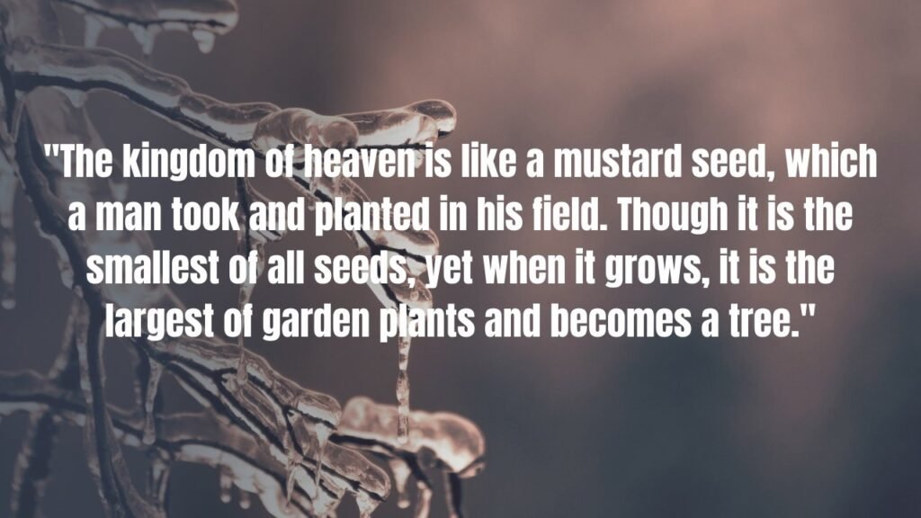 Bible Verses About Growth - Scriptures on Growing in Faith and Spiritual Maturity