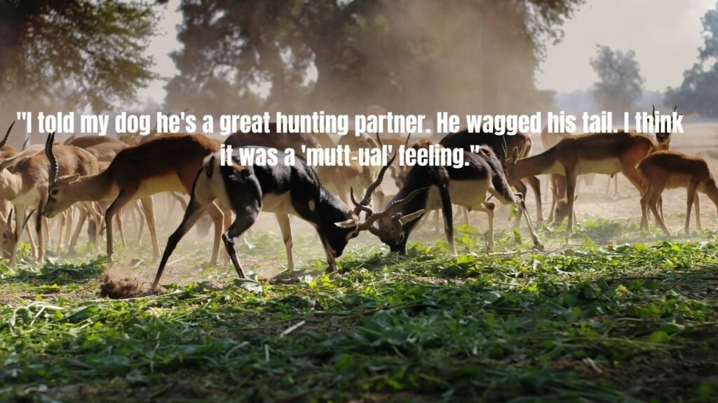 Top Hunting Quotes: Wisdom, Humor, and Inspiration from the Wild