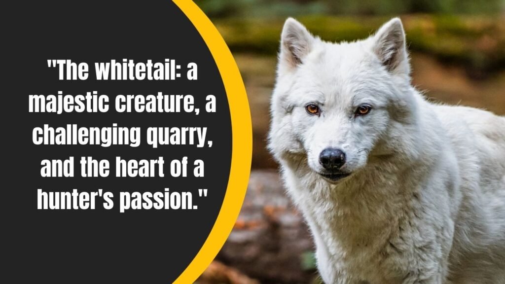 Top Hunting Quotes: Wisdom, Humor, and Inspiration from the Wild