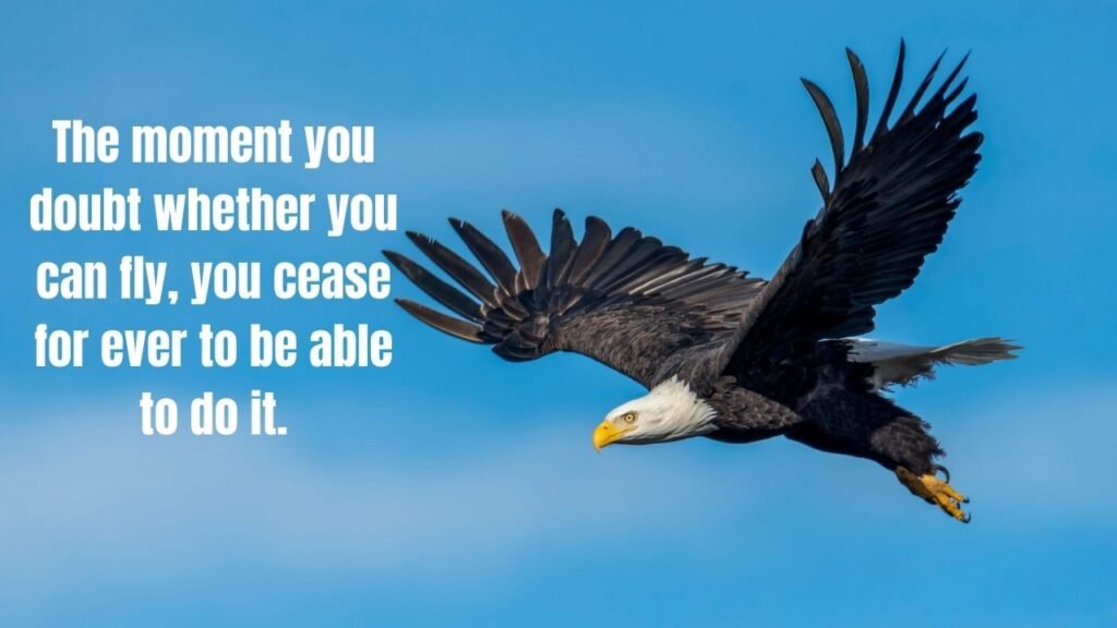 20+ Flying Quotes to Inspire Your Journey and Elevate Your Spirit