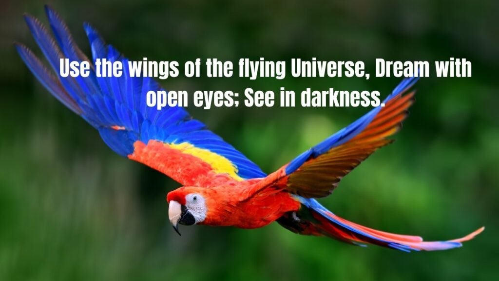 20+ Flying Quotes to Inspire Your Journey and Elevate Your Spirit