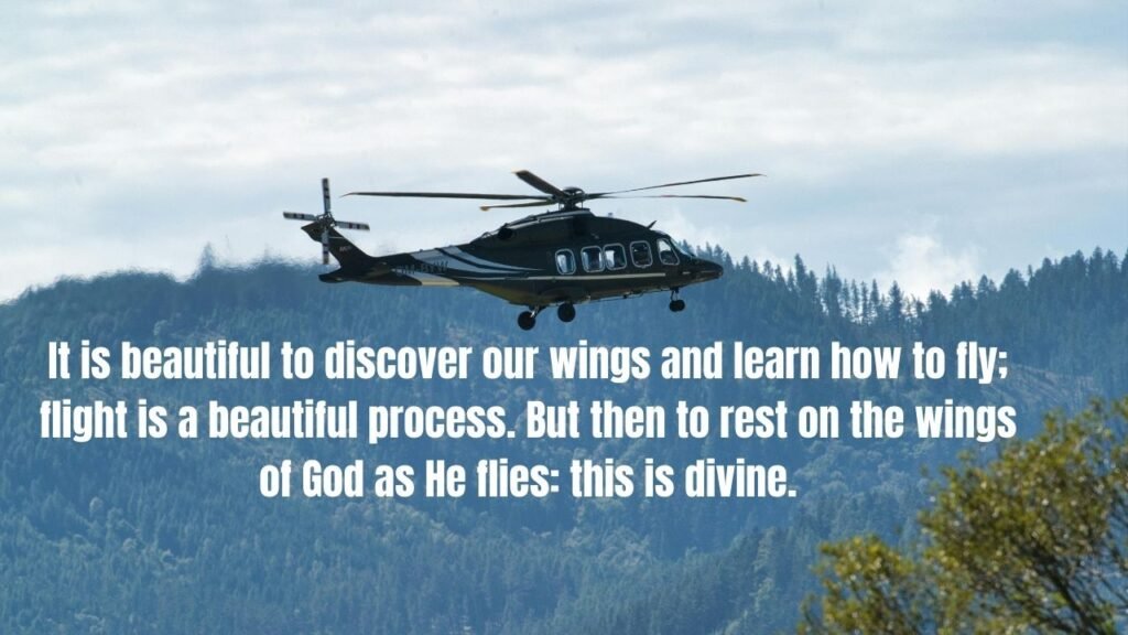 20+ Flying Quotes to Inspire Your Journey and Elevate Your Spirit