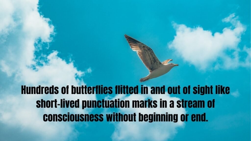 20+ Flying Quotes to Inspire Your Journey and Elevate Your Spirit