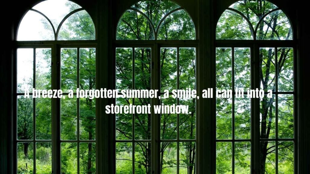 50 Window Quotes to Inspire Your View of Life