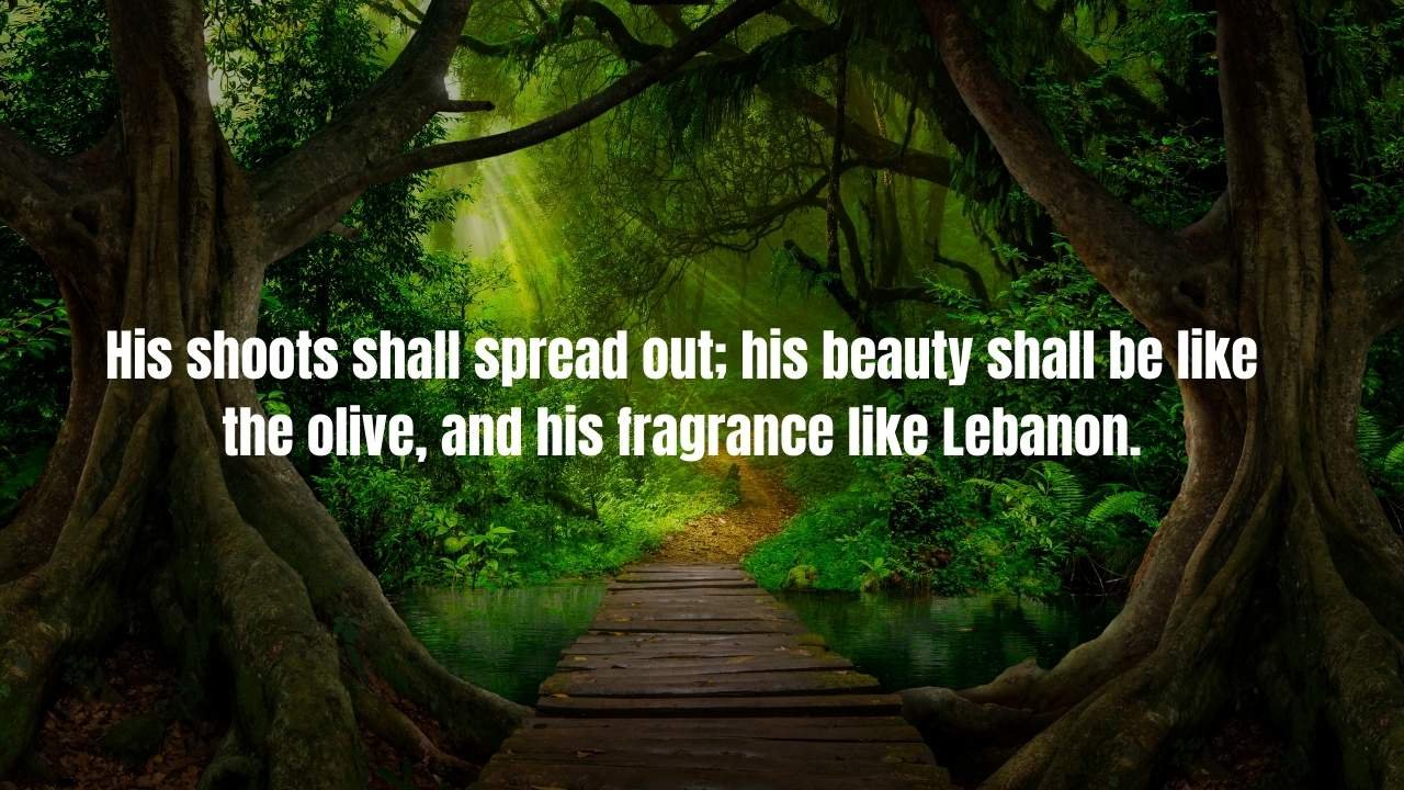 110 Bible Verses About Trees: Complete Scripture Guide on Trees in the Bible