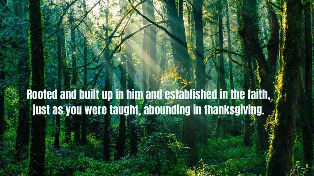 110 Bible Verses About Trees: Complete Scripture Guide on Trees in the Bible