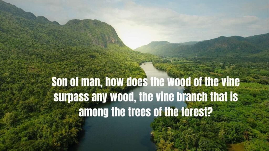 110 Bible Verses About Trees: Complete Scripture Guide on Trees in the Bible