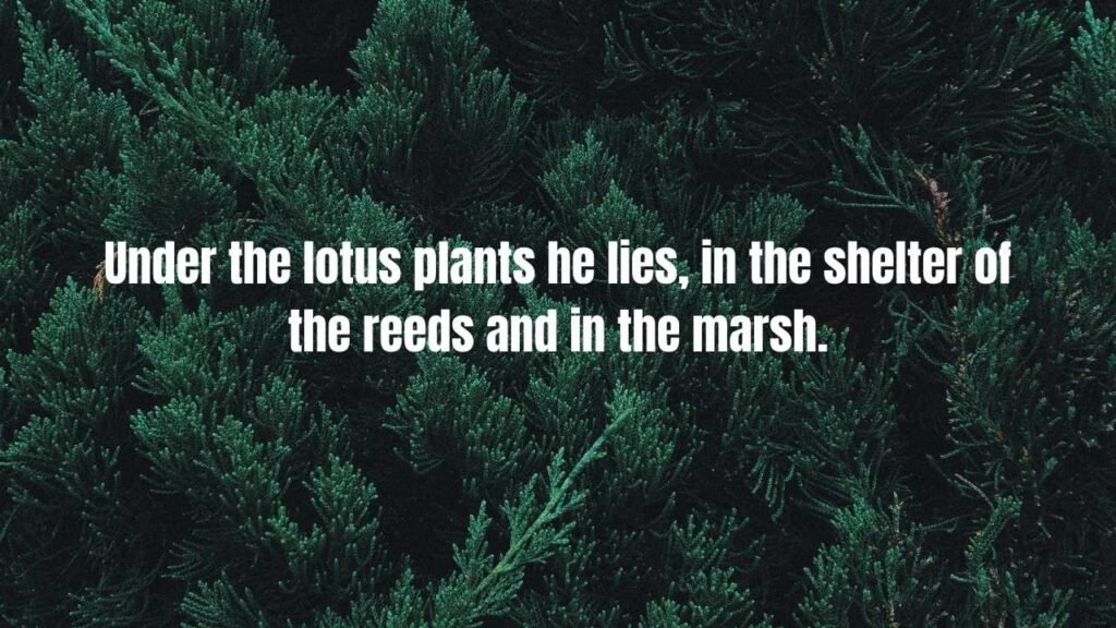 110 Bible Verses About Trees: Complete Scripture Guide on Trees in the Bible