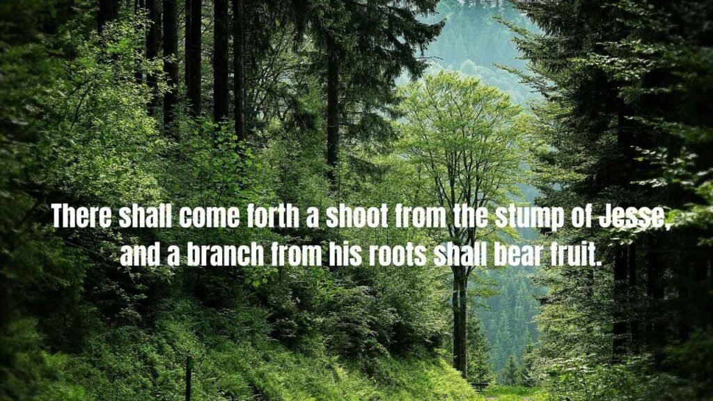 110 Bible Verses About Trees: Complete Scripture Guide on Trees in the Bible