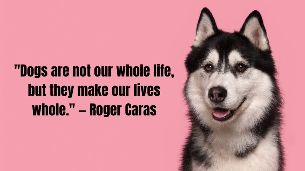 110 Heartfelt Dog Passing Quotes to Comfort Grieving Pet Parents