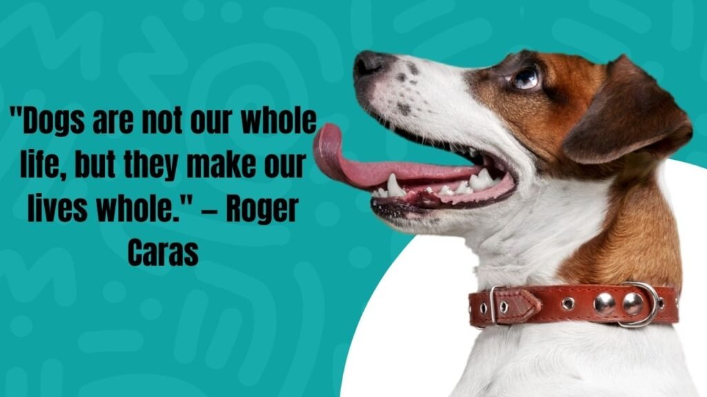 110 Heartfelt Dog Passing Quotes to Comfort Grieving Pet Parents