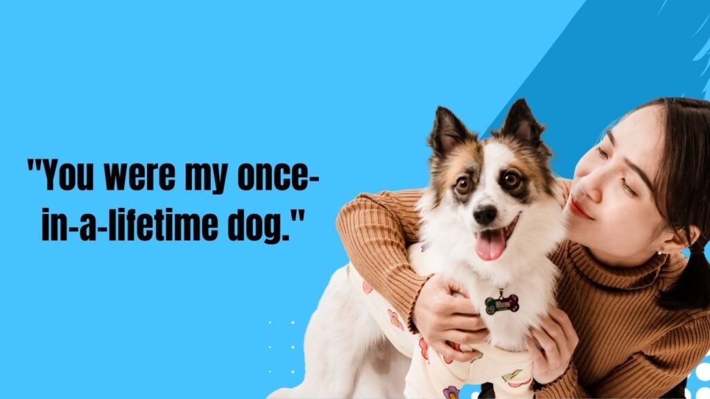 110 Heartfelt Dog Passing Quotes to Comfort Grieving Pet Parents