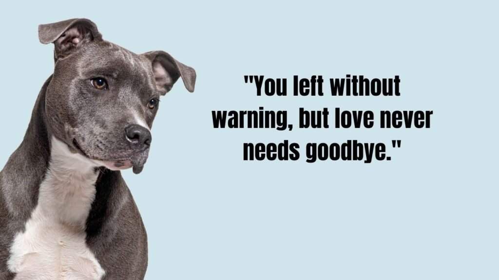110 Heartfelt Dog Passing Quotes to Comfort Grieving Pet Parents
