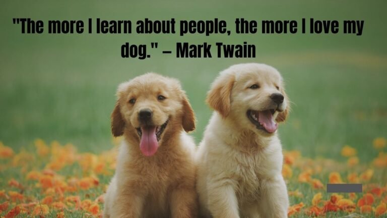 110 Heartfelt Dog Passing Quotes to Comfort Grieving Pet Parents