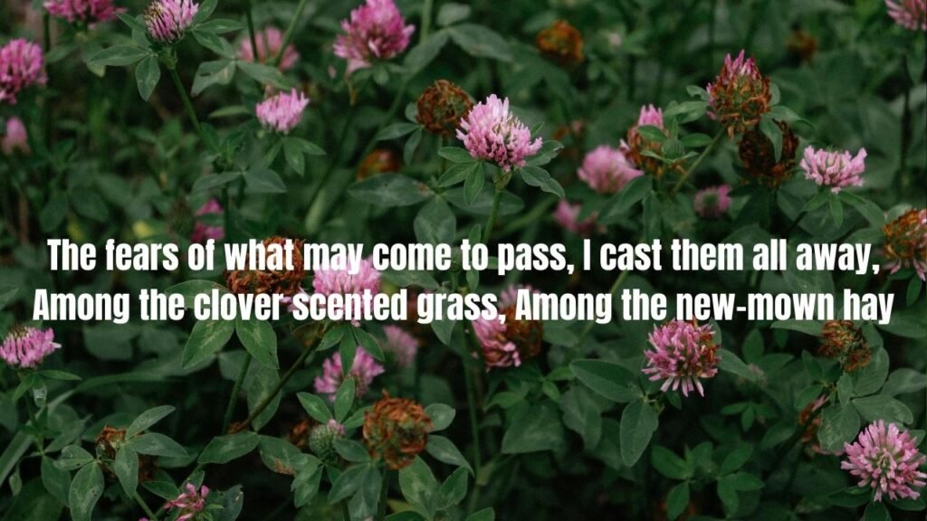 30 Clovers Quotes: Inspiring Words About Nature's Lucky Symbol