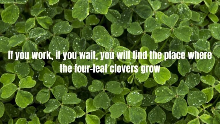 30 Clovers Quotes: Inspiring Words About Nature's Lucky Symbol