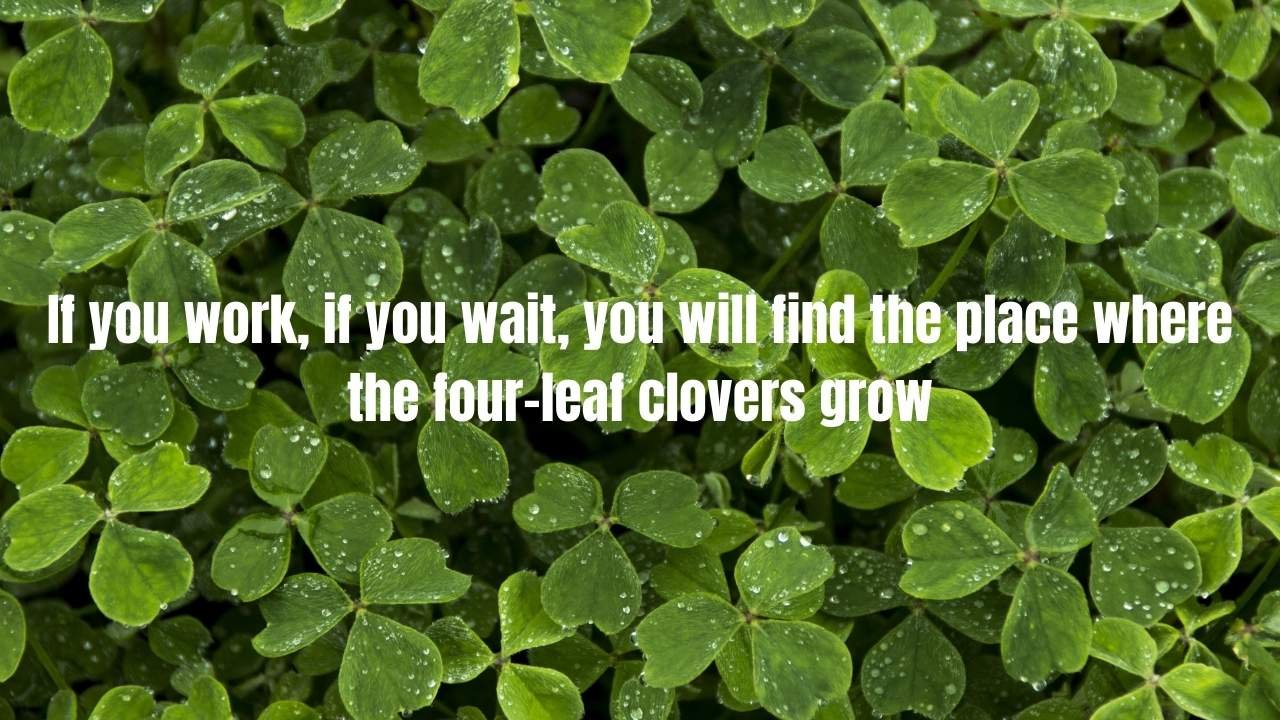 30 Clovers Quotes: Inspiring Words About Nature's Lucky Symbol