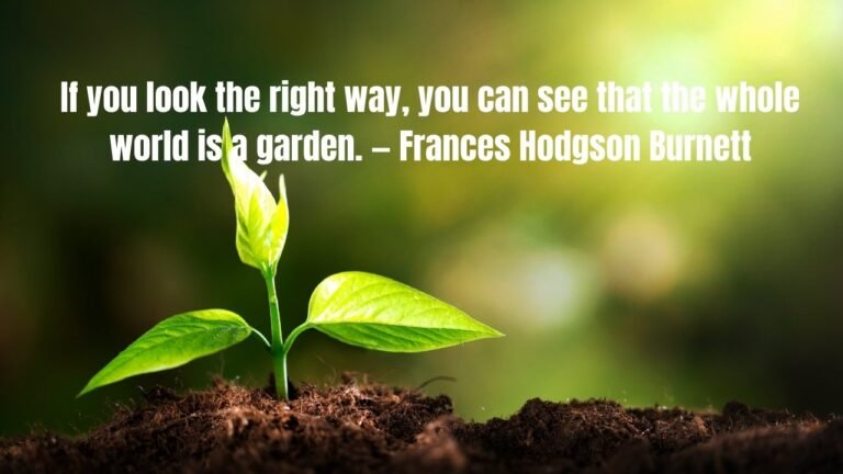 30 Inspiring Quotes about Blossoming and Growth