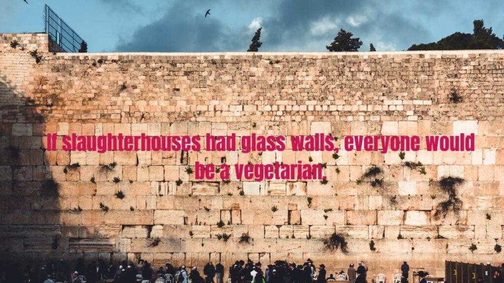 30 Walls Quotes: Powerful Words About Barriers, Boundaries, and Breaking Free