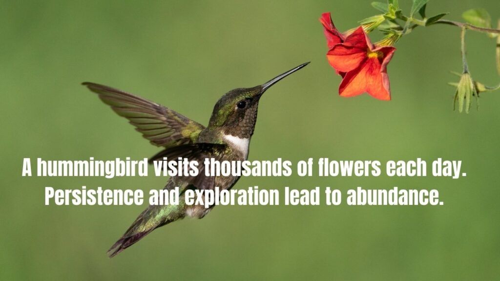 40 Hummingbird Quotes and Sayings To Inspire You