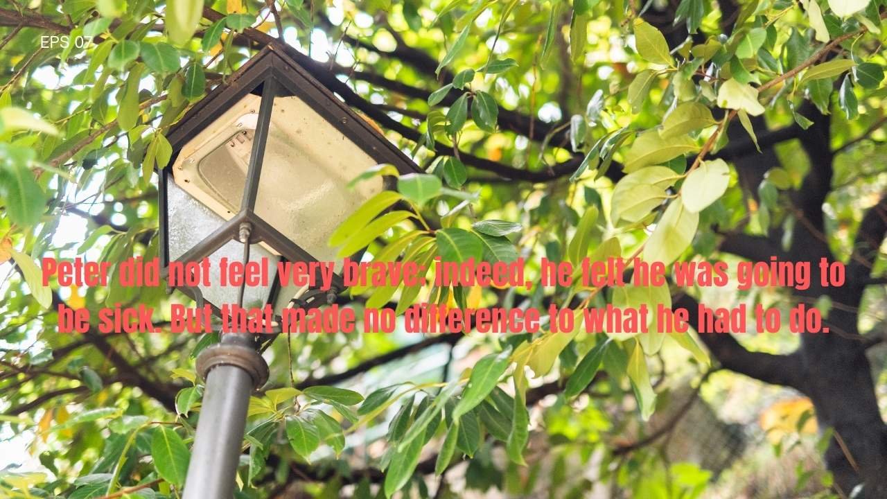 20 The Chronicles of Narnia Quotes That Will Change How You See the World