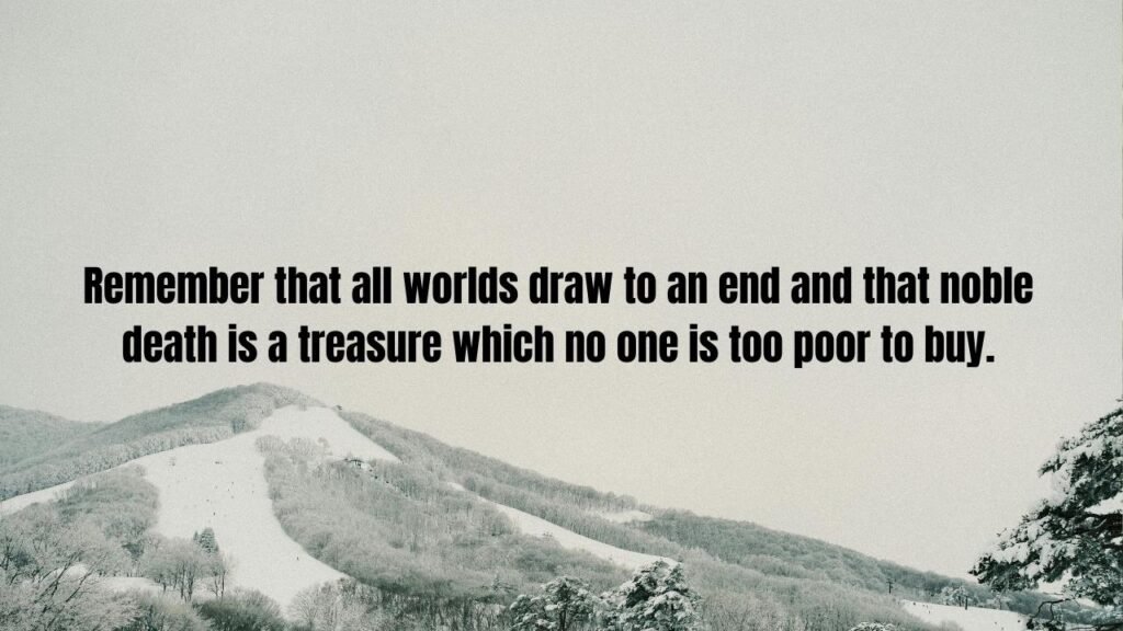20 The Chronicles of Narnia Quotes That Will Change How You See the World