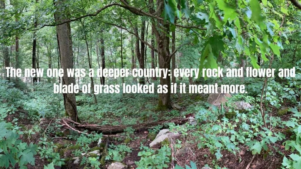 20 The Chronicles of Narnia Quotes That Will Change How You See the World