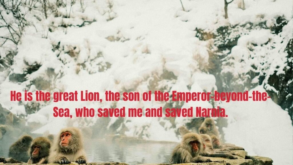 20 The Chronicles of Narnia Quotes That Will Change How You See the World