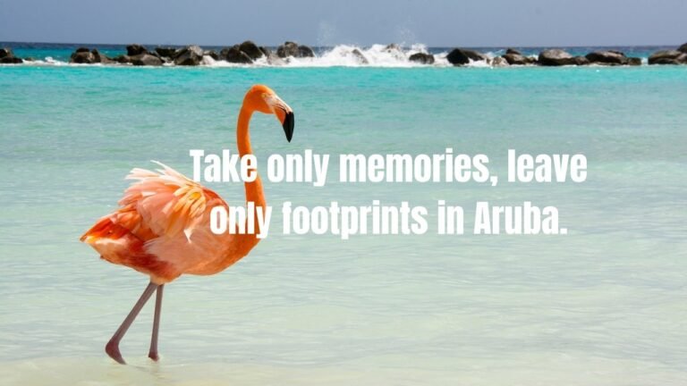30+ Aruba Quotes & Captions for Instagram
