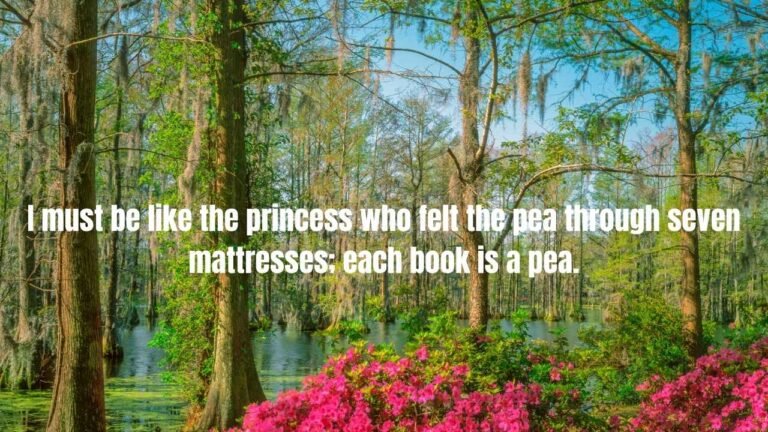 25 C. S. Forester Quotes